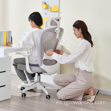 Sillas de muebles de oficina Oficina de silla ergonómica